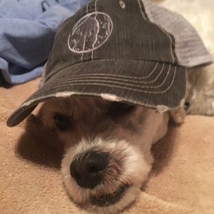 Meet your Posher, Jayme